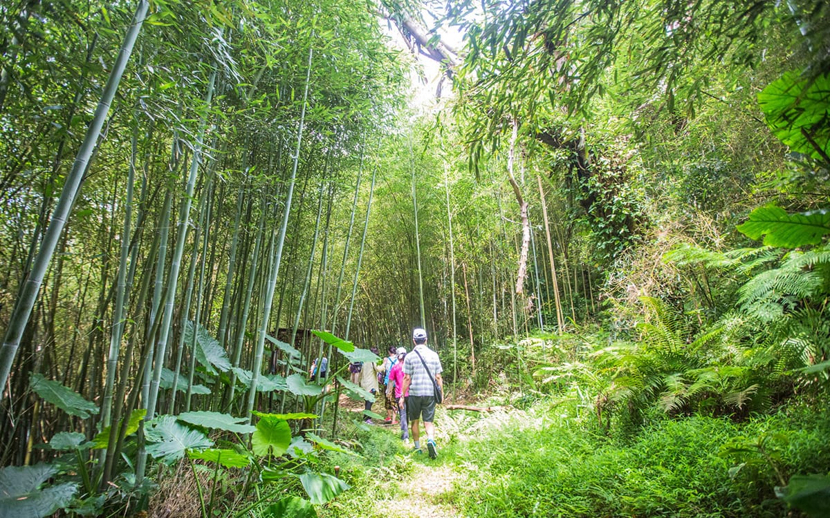 Mountaineering and hiking