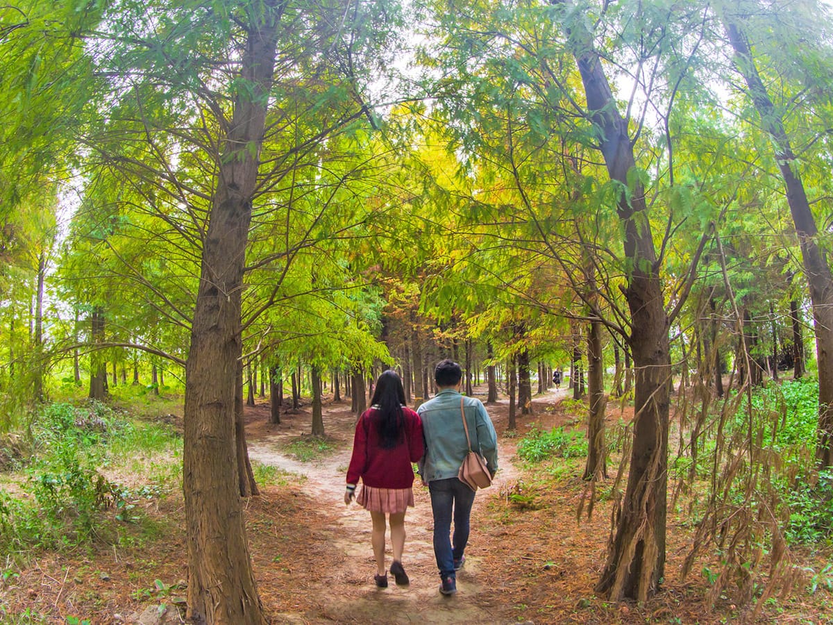 Best seasons to visit Taoyuan