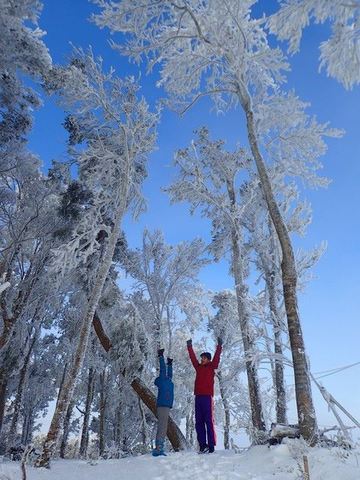 踏雪