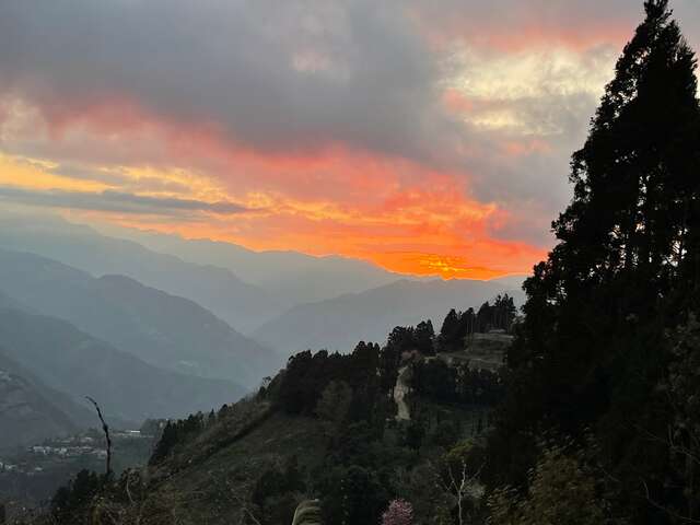 澄黃山景