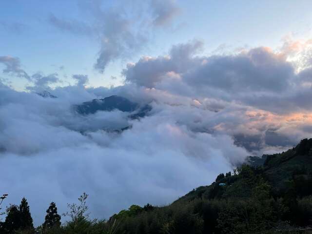 雲海如浪